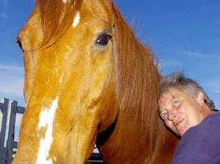 Helping to heal: Cathy Gordon, of Ballina, with her horse Whaler, which she says saved her soul after the terrifying ordeal of the Port Arthur massacre in 1996 had her considering suicide. Picture: Cathy Adams