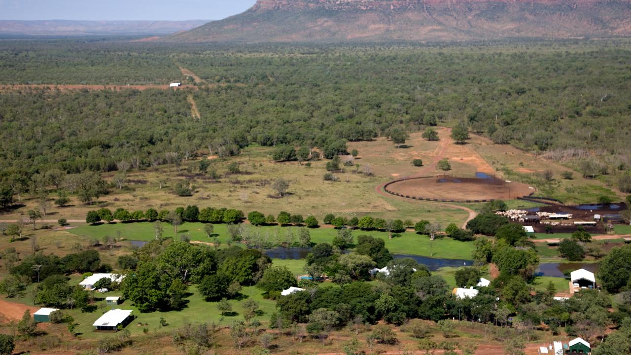 The famous Carlton Hill Station on the lower Ord River near Kununurra.