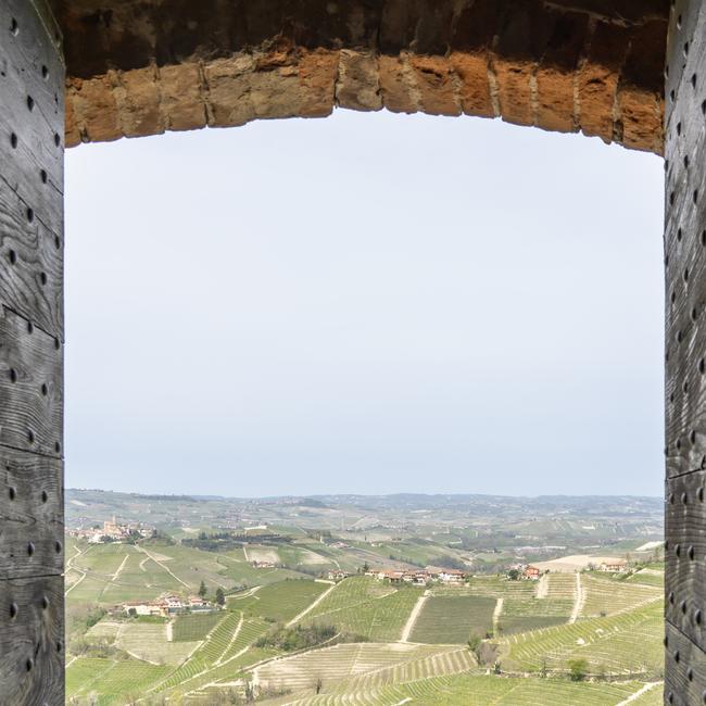 The vineyards of Langhe in Piemonte through a window.