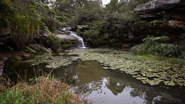 Manly Vale's Mermaid Pool — the focus of a massive community clean-up effort. Picture: Adam Yip