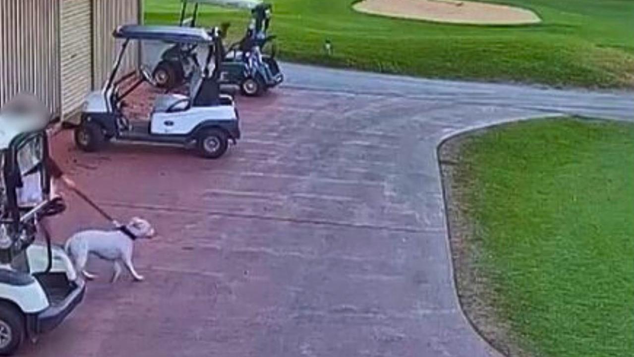 From golf course to court: Woman charged after alleged buggy theft