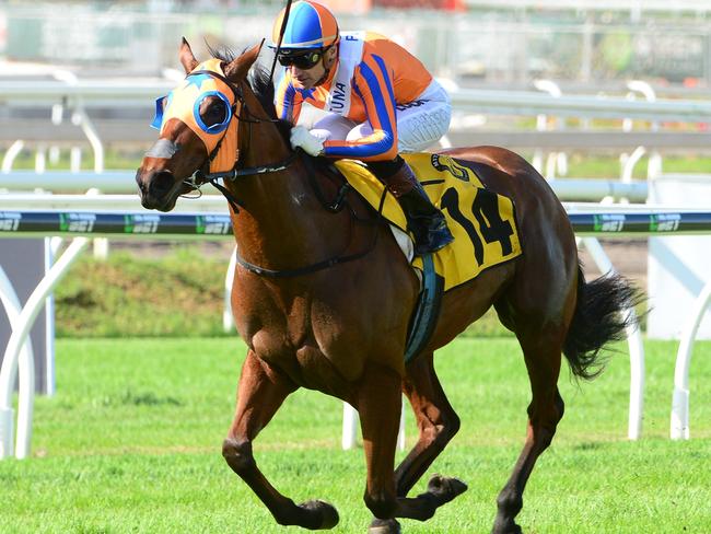 Kiwi star Melody Belle wins the Sires Produce Stakes for jockey Opie Bosson and trainer Stephen Autridge. Picture: Grant Peters, Trackside Photography