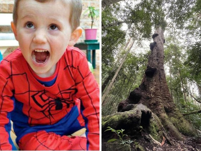 We might know where William Tyrrell is