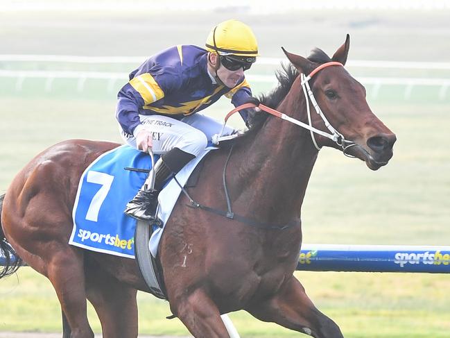 Winchester ridden by Patrick Moloney wins the Sportsbet Photo Finish Refund Handicap at Sportsbet Sandown Hillside Racecourse on July 31, 2024 in Springvale, Australia. (Photo by Pat Scala/Racing Photos via Getty Images)