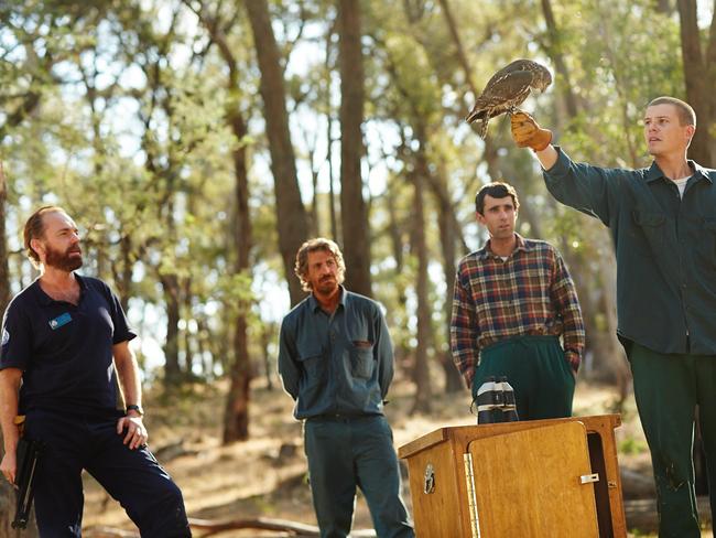 Hugo Weaving, Don Hany, Mark Leonard Winter and Xavier Samuel in Healing.
