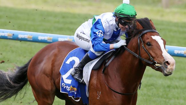 Michelle Payne rides Duke of Nottingham in the Ballarat Races. Picture: Michael Klein