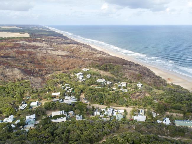 After fires ravished Fraser Island last year, the environment has started recovering with new ground cover and plant life. Picture: Peter Meyer