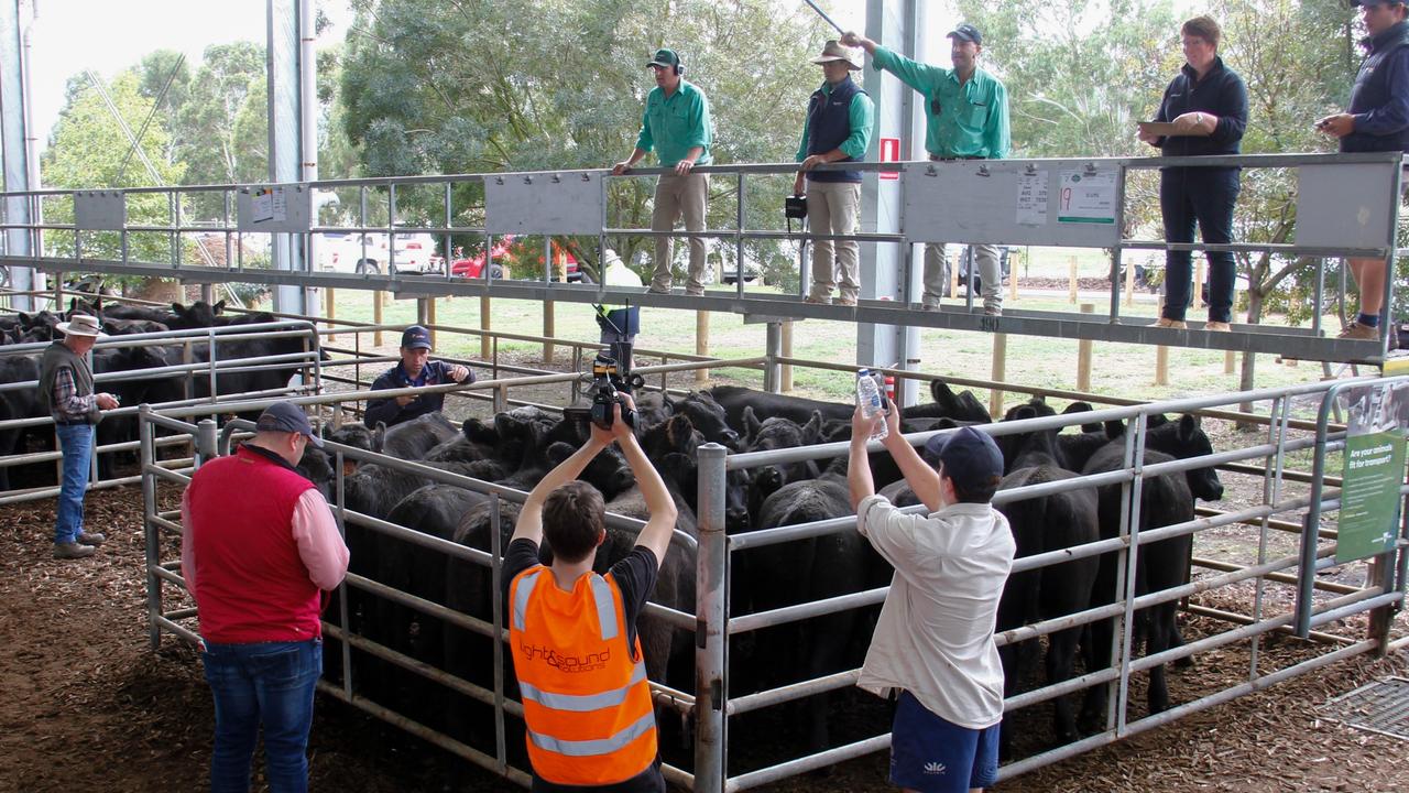 MLA Officers To Return To Saleyards | The Weekly Times