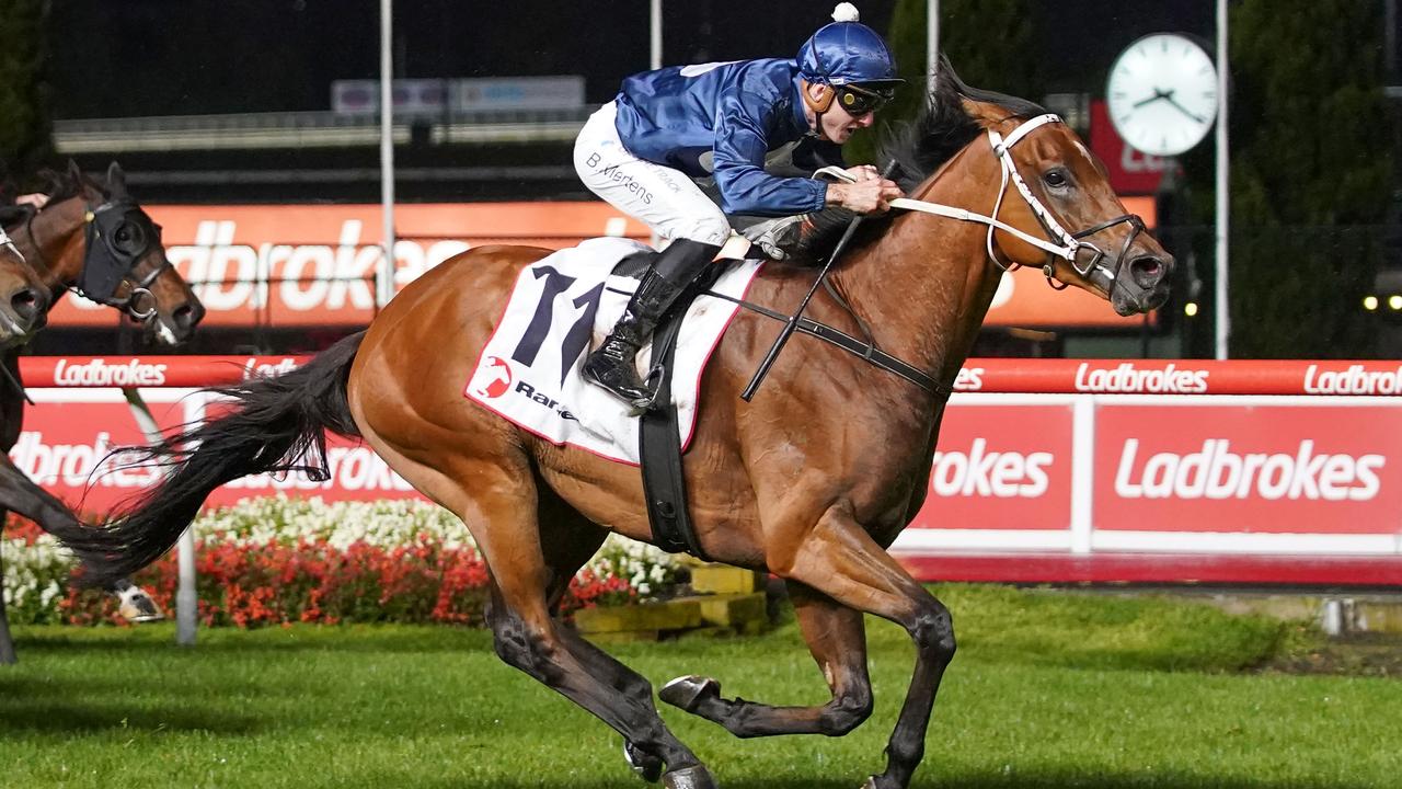 Well-bred galloper The Awesome Son can continue to progress through the grades with another win at Friday night's meeting at The Valley. Picture : Racing Photos via Getty Images.