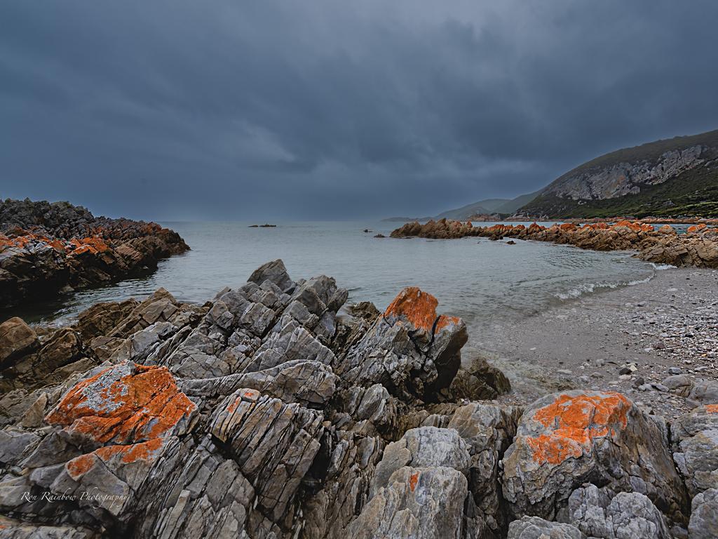 Rocky Cape National Park, NW Tasmania. Picture: Ron Rainbow Your Focus on Tasmania ***ONE TIME USE ONLY***