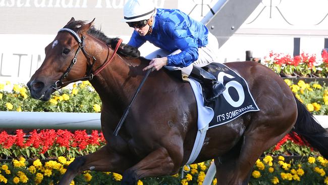 It's Somewhat has ‘done super’ since his upset win in the Doncaster Mile at Randwick.