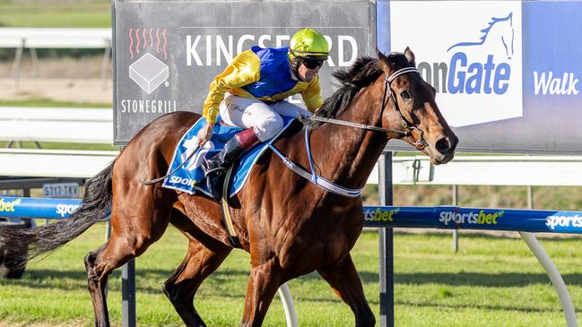 Justin Potter steers Badiss to a dominant win at Gawler. Picture: Makoto Kaneko