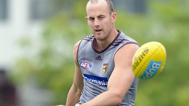 Hawthorn ruckman David Hale confident ahead of his match-up with ...