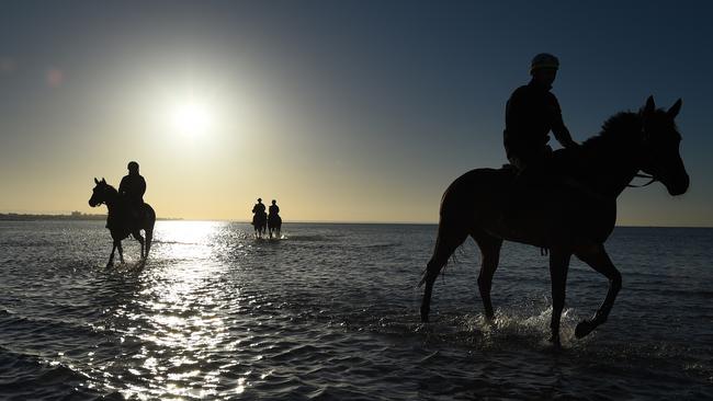 Ben Cadden rides Winx, right, through the water at Altona Beach during a recovery session. Picture: Getty