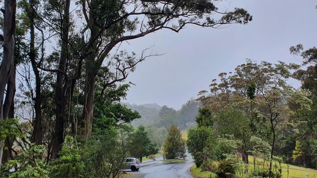 The road up to Binna Burra Lodge. It was a cold, wet and foggy day on Thursday, September 10, 2020 - vastly different to the hot and smoky conditions in September, 2019, during the bushfires. Picture: Luke Mortimer