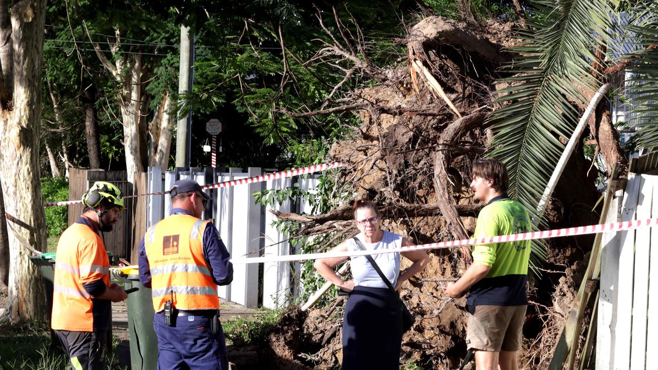 Bureau admits no warning was issued for severe storm that hammered Brisbane