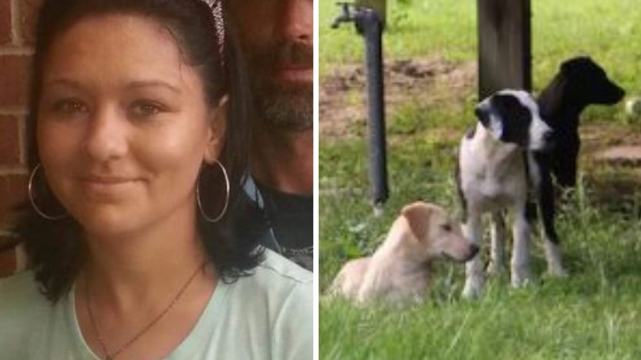 Mum killed by 13 dogs in vicious attack