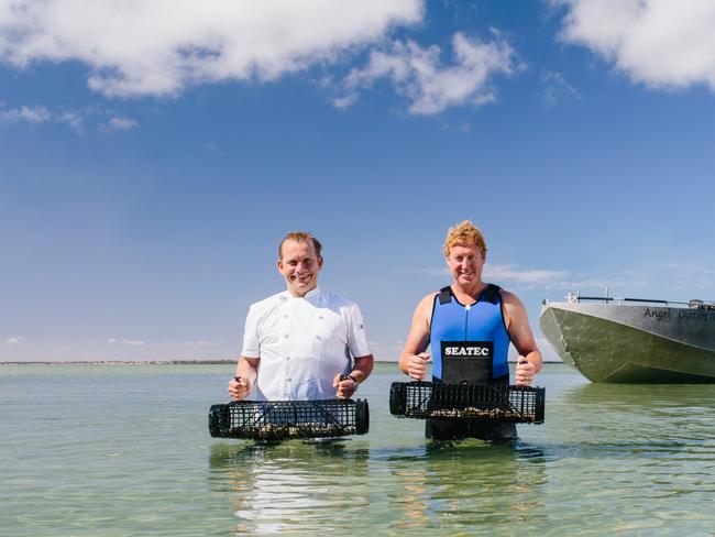 Business: Chef Martin Boetz and Angel Oyster's Zac Halman in the waters off Coffin Bay. Mr Halman and his team regularly host chef tours at their farms. (Supplied)