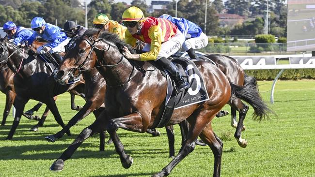 Depth Of Character looks hard to beat at Warwick Farm on Wednesday. Picture: Bradley Photos