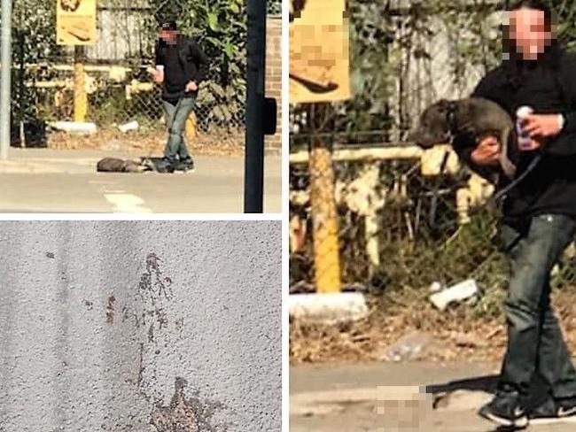 A 51-year-old man will face court over allegations he committed a shocking act of animal cruelty in Marrickville, causing great distress to the dog. Photo: Pound Patrol