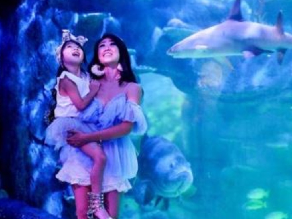 Use a Klook gift card for a day at the aquarium mum will never forget. Picture: Instagram/@ivonehendarta.