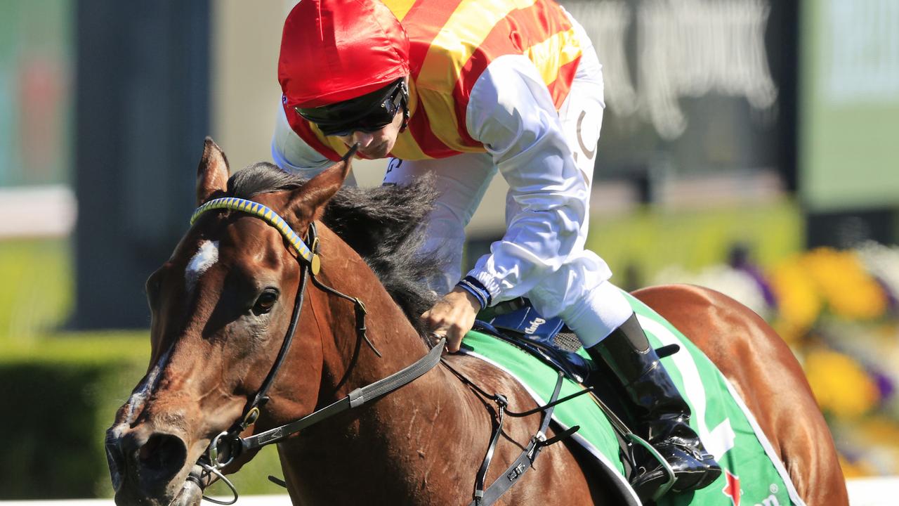 Peltzer is favourite for today’s Bondi Stakes on the 10-year anniversary of his sire So You Think’s (inset) second Cox Plate win. Picture: Getty Images