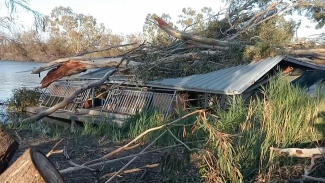 The houseboat was crushed by a giant gum tree near the Renmark boat ramp. Picture: 7NEWS