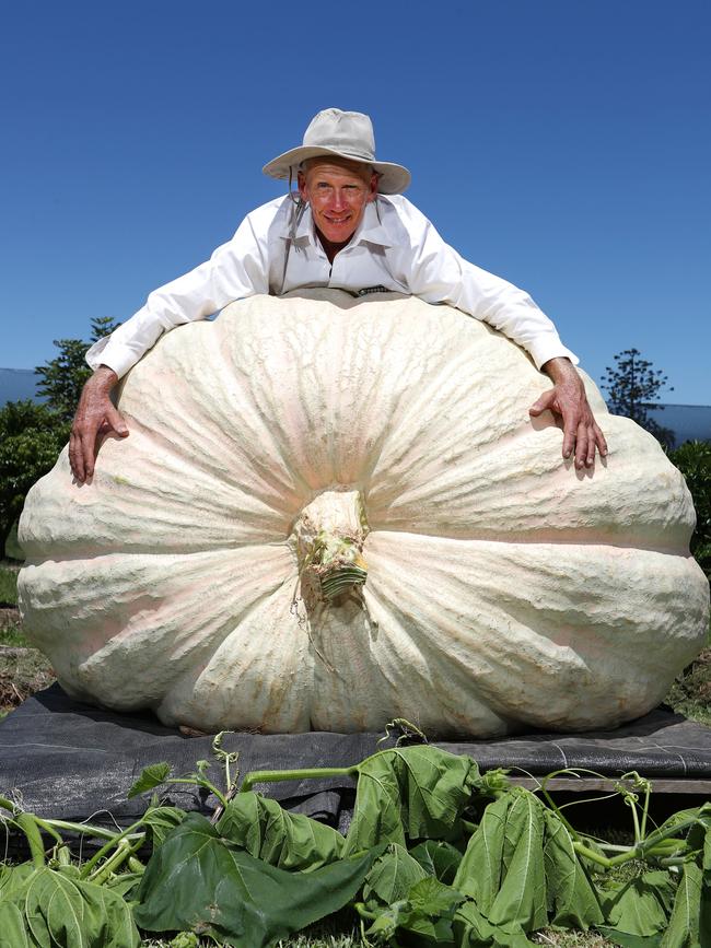 Dale Oliver with his pumpkin, the largest in the southern hemisphere. Picture: Jason O'Brien