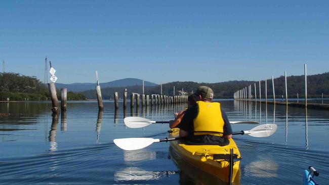 Region X kayaking tour on the Clyde River.