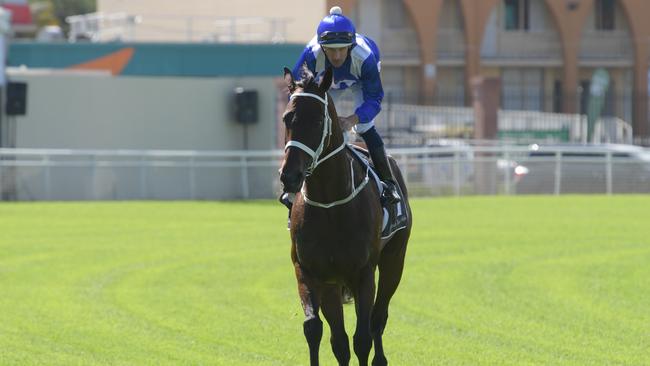 Jockey Hugh Bowman and Winx take part in an exhibition gallop at Randwick.