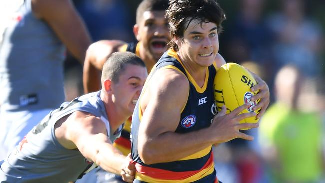 Darcy Fogarty has the body to play straight away, but is there a vacancy in the Crows’ forward line?