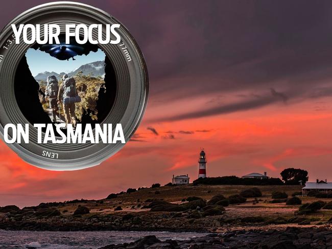 Your Focus on Tasmania thumbnail