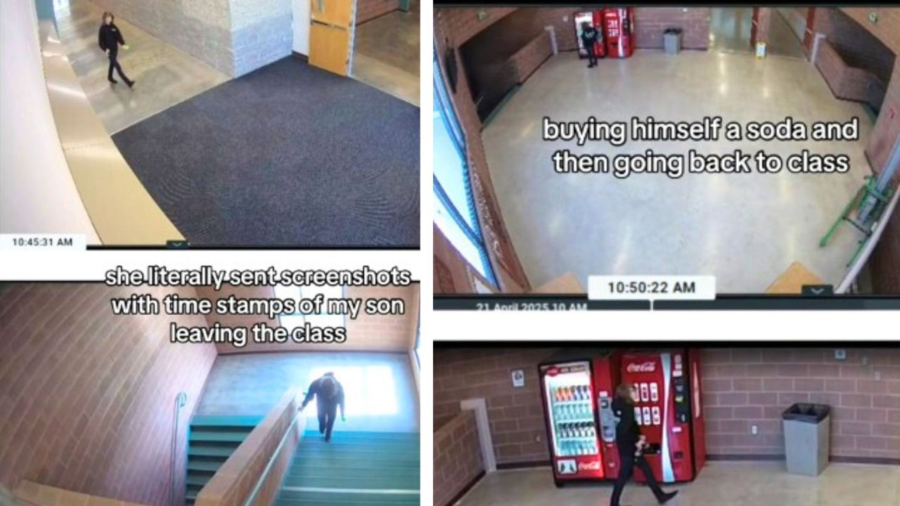 Image: TikTok/cassdamm