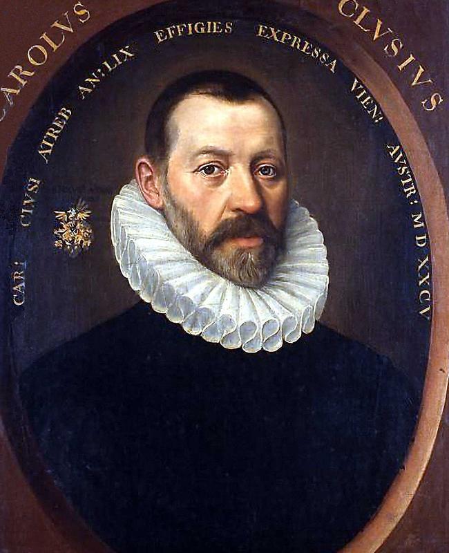 A 1585 portrait of Flemish botanist Carolus Clusius, by Charles L'Ecluse.