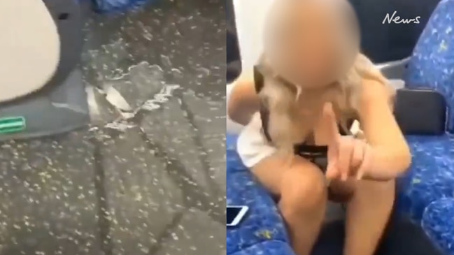 Shocking footage of woman urinating on Sydney train