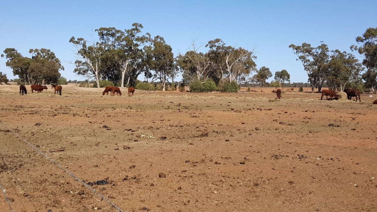 NSW govt tours worst drought-affected regions