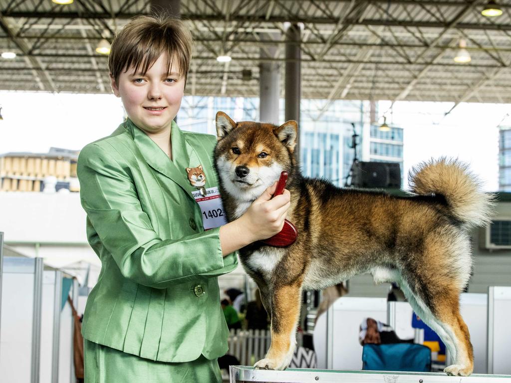 Rose Cook with Roku the Shiba-Inu at the Ekka at the RNA Showgrounds in Bowen Hills on Thursday. Picture: Richard Walker.