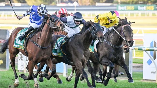 Gin O'Clock (middle) wins at Geelong.