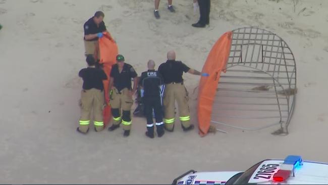 Efforts to revive Charlie on the beach were unsuccessful. Picture: ABC News