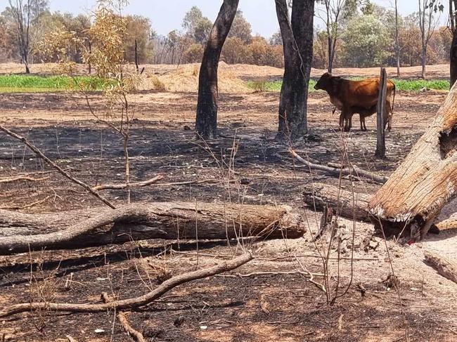 Fire impact on cattle properties west of Duaringa. The fire is believed to have been started from lightning strike from a storm which passed over Central Queensland on Thursday night.