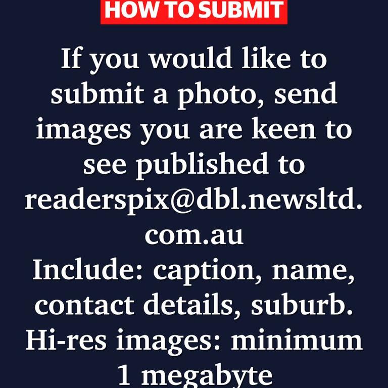 How to submit to The Mercury's readers pictures.