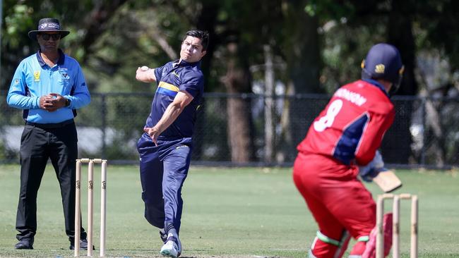 David Delany of Ringwood. Picture: George Salpigtidis