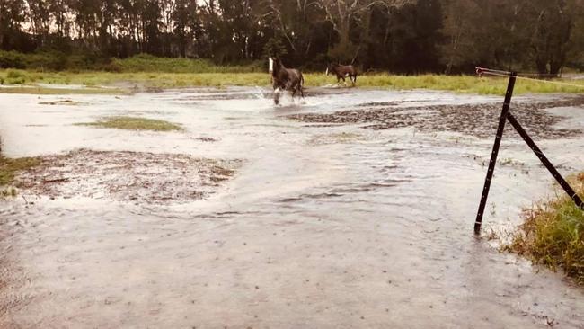 Hunter Horse Haven at Anna Bay has been flooded. Picture: Facebook/Sally Williams.