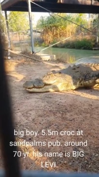 This 5.5 metre croc could be the largest in the NT