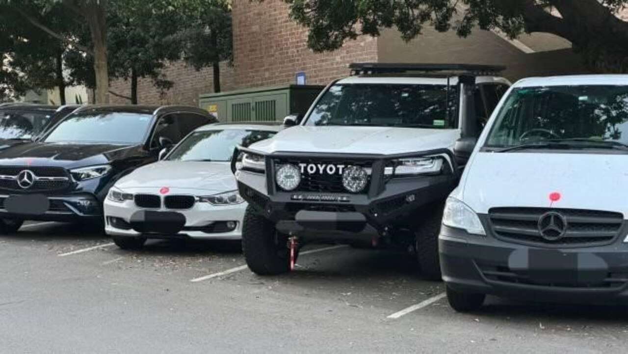 Police received 87 reports of incidents where luxury cars parked across Sydney suburbs were sprayed with paint. Picture: Facebook