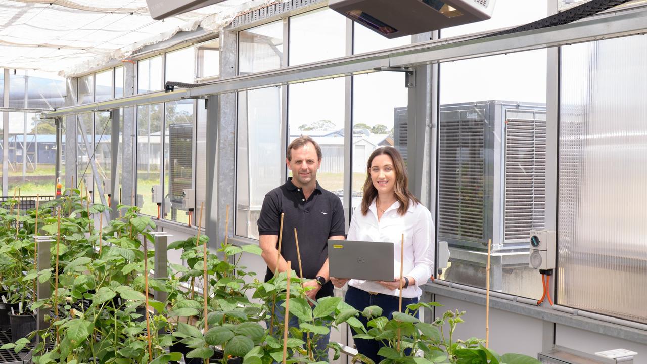 Lauren Goldspink and Neil Robinson in the glasshouse showcasing the PlantEye 3DMultispectral Scanner.