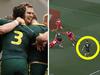 Fans say same thing about Kangaroos star