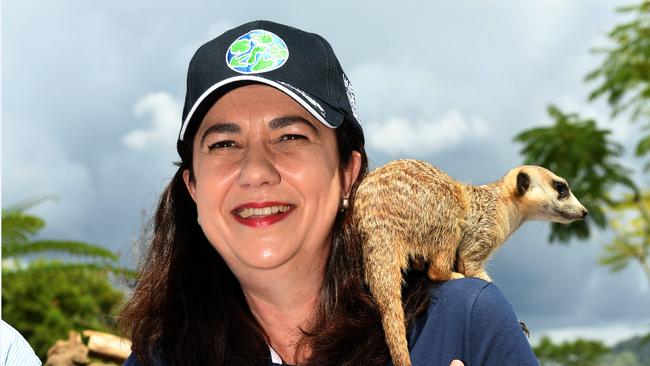 Queensland Premier Annastacia Palaszczuk poses for a photo with a meerkat during a visit to Australia Zoo in Beerwah, on the Sunshine Coast, Thursday, November 23, 2017. Ms Palaszczuk is on the campaign trail ahead of the November 25 state election. (AAP Image/Dan Peled) NO ARCHIVING