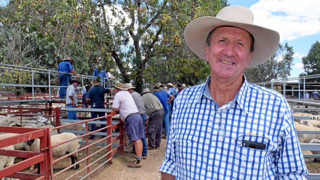 Nowlan and Co agent David Friend at the biggest sheep sale in recent times at Warwick Saleyards. Picture: Jonno Colfs