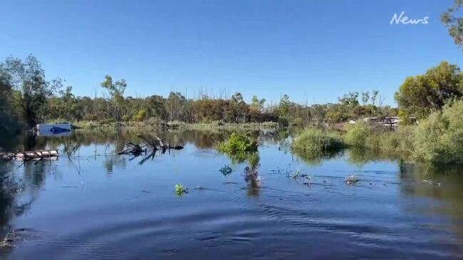 Grape block floods in Mildura